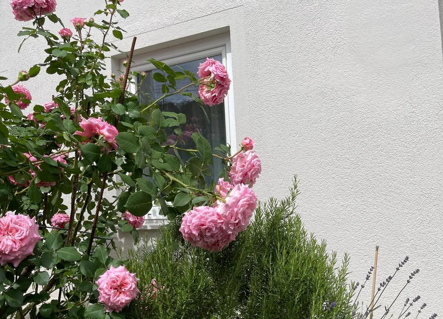 Appartamento Mia Lifestyle Appartements Innsbruck Austria